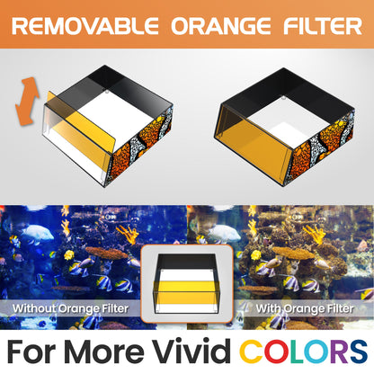Top Down Viewer Clownfish 8 Inch Tank Panel