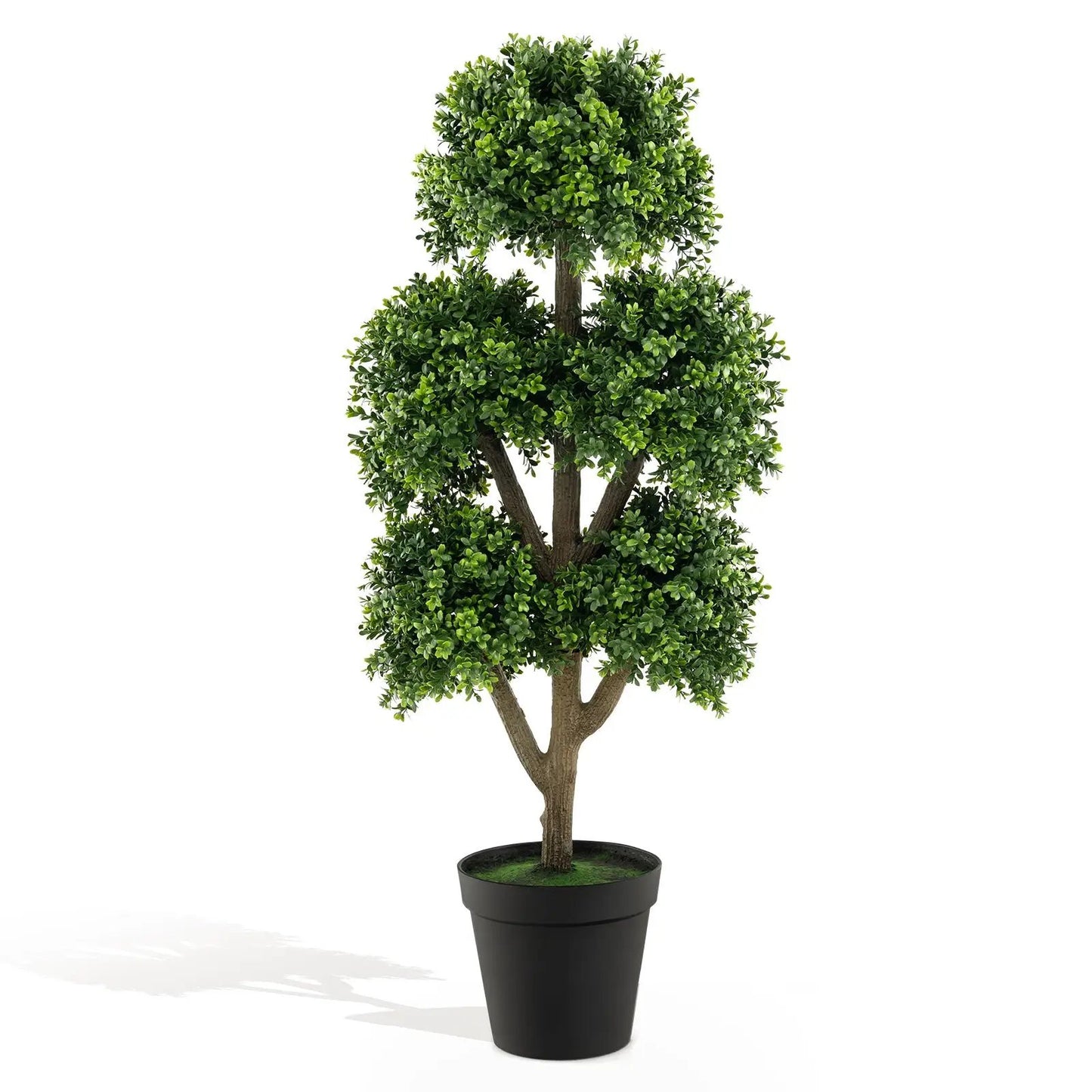 - image on Tampa Home & Garden Store