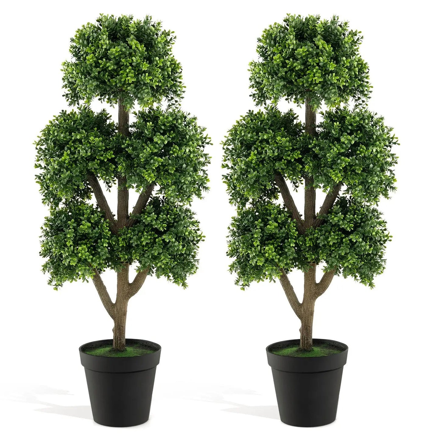 - image on Tampa Home & Garden Store