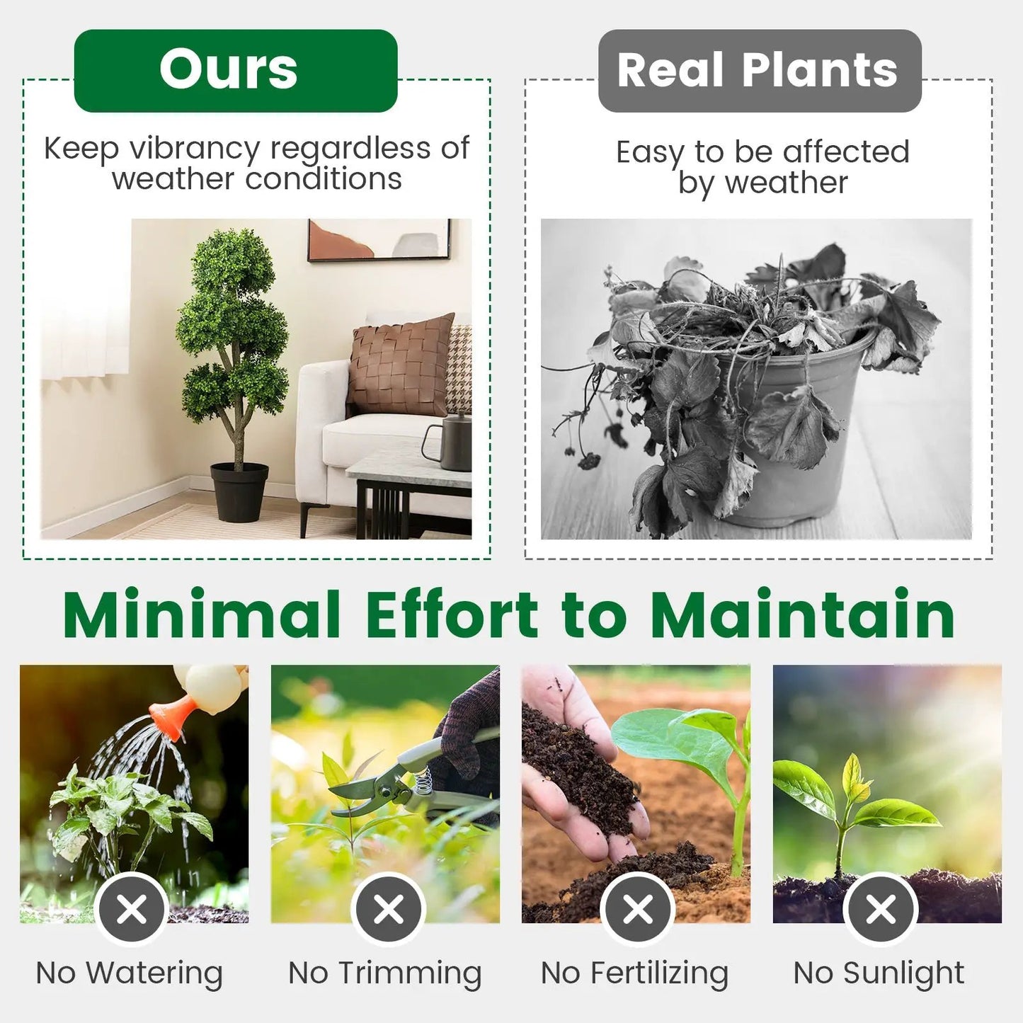 - image on Tampa Home & Garden Store