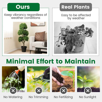 - image on Tampa Home & Garden Store