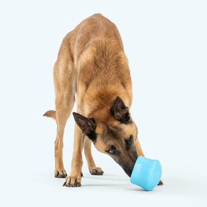 Toppl Puzzle Toy for Moderate Chewers and Treats