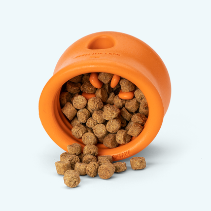 Toppl Puzzle Toy for Moderate Chewers and Treats