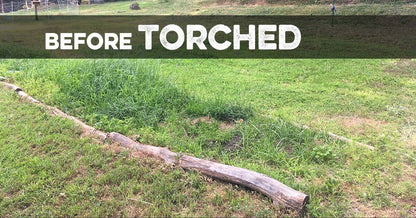 Torched Weed Killer Torched Herbicide | Natural - Tampa Home & Garden Store