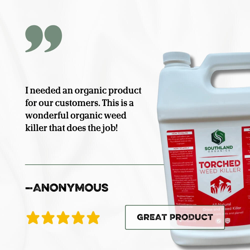 Torched Weed Killer Torched Herbicide | Natural - Tampa Home & Garden Store