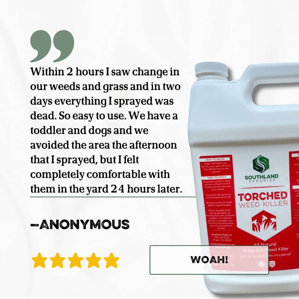 Torched Weed Killer Torched Herbicide | Natural - Tampa Home & Garden Store