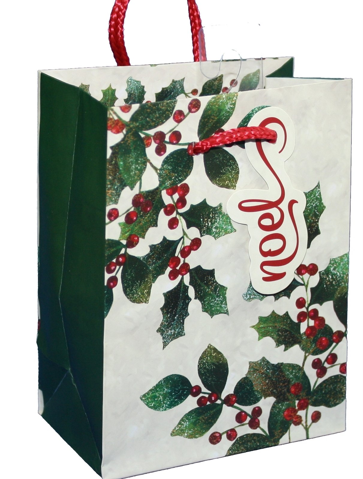 Traditional Symbol Gift Bag - Door Large - Tampa Home & Garden Store