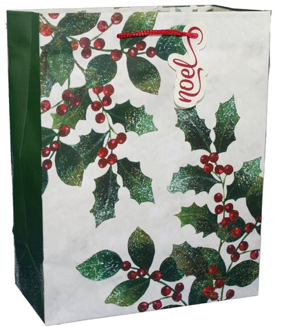 Traditional Symbol Gift Bag - Door Large - Tampa Home & Garden Store
