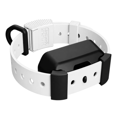 Training Collar Setup Hoss Straps hunting dog collar with white strap and black receiver on Tampa Home & Garden Store
