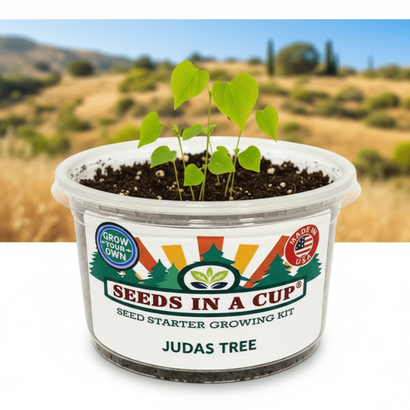 Tree Growing Kit - Choose Your Tree Type - Tampa Home & Garden Store