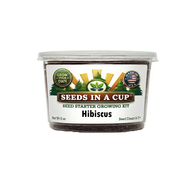 Tree Growing Kit - Choose Your Tree Type - Tampa Home & Garden Store