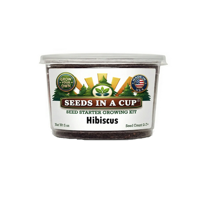 Tree Growing Kit - Choose Your Tree Type - Tampa Home & Garden Store
