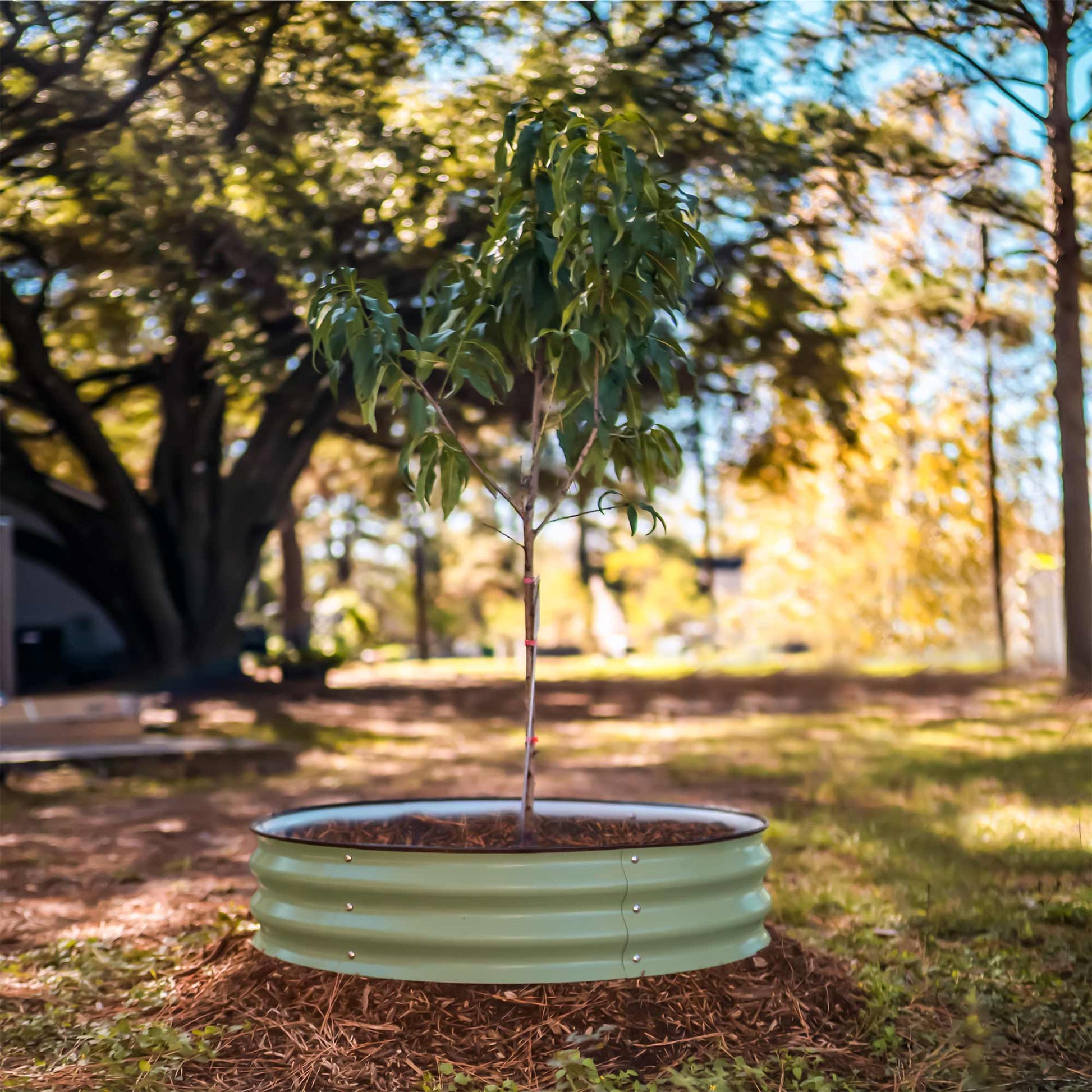 Tree Surround Tree Growing Container Tree Watering Ring Metal - Tampa Home & Garden Store