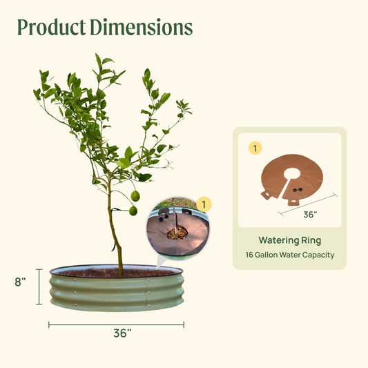 Tree Surround Tree Growing Container Tree Watering Ring Metal - Tampa Home & Garden Store