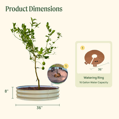 Tree Surround Tree Growing Container Tree Watering Ring Metal - Tampa Home & Garden Store