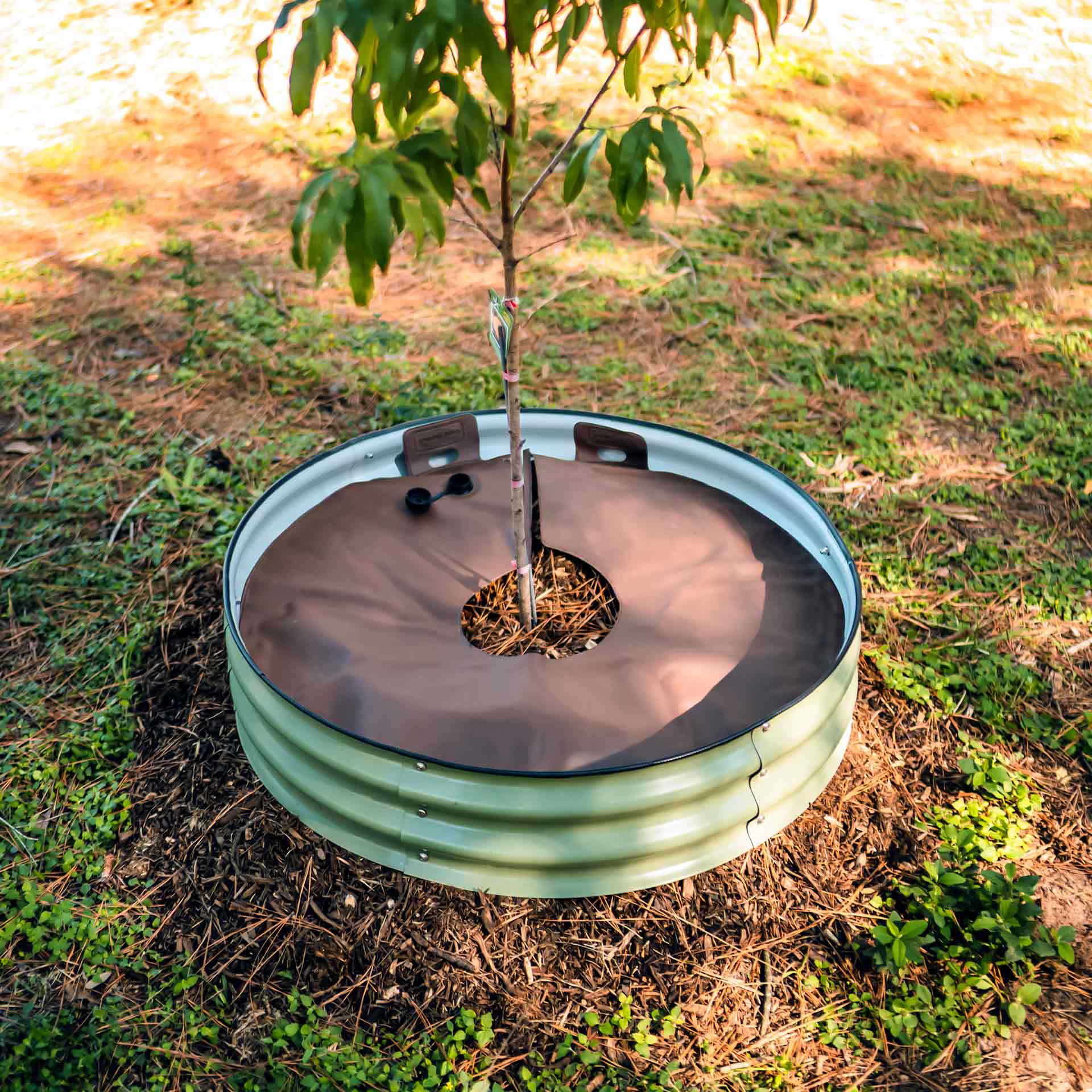 Tree Surround Tree Growing Container Tree Watering Ring Metal - Tampa Home & Garden Store