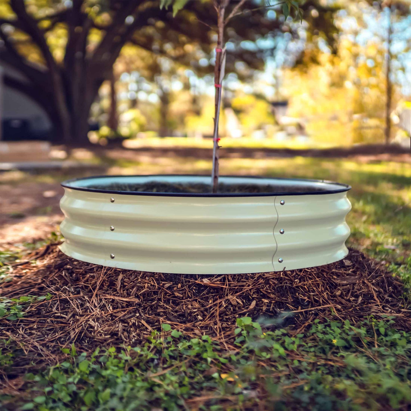Tree Surround Tree Growing Container Tree Watering Ring Metal - Tampa Home & Garden Store