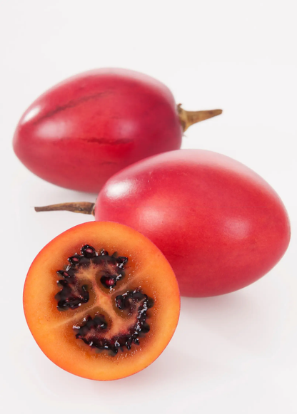 Tree Tomato, Red (Cyphomandra betaceae) - Tampa Home & Garden Store
