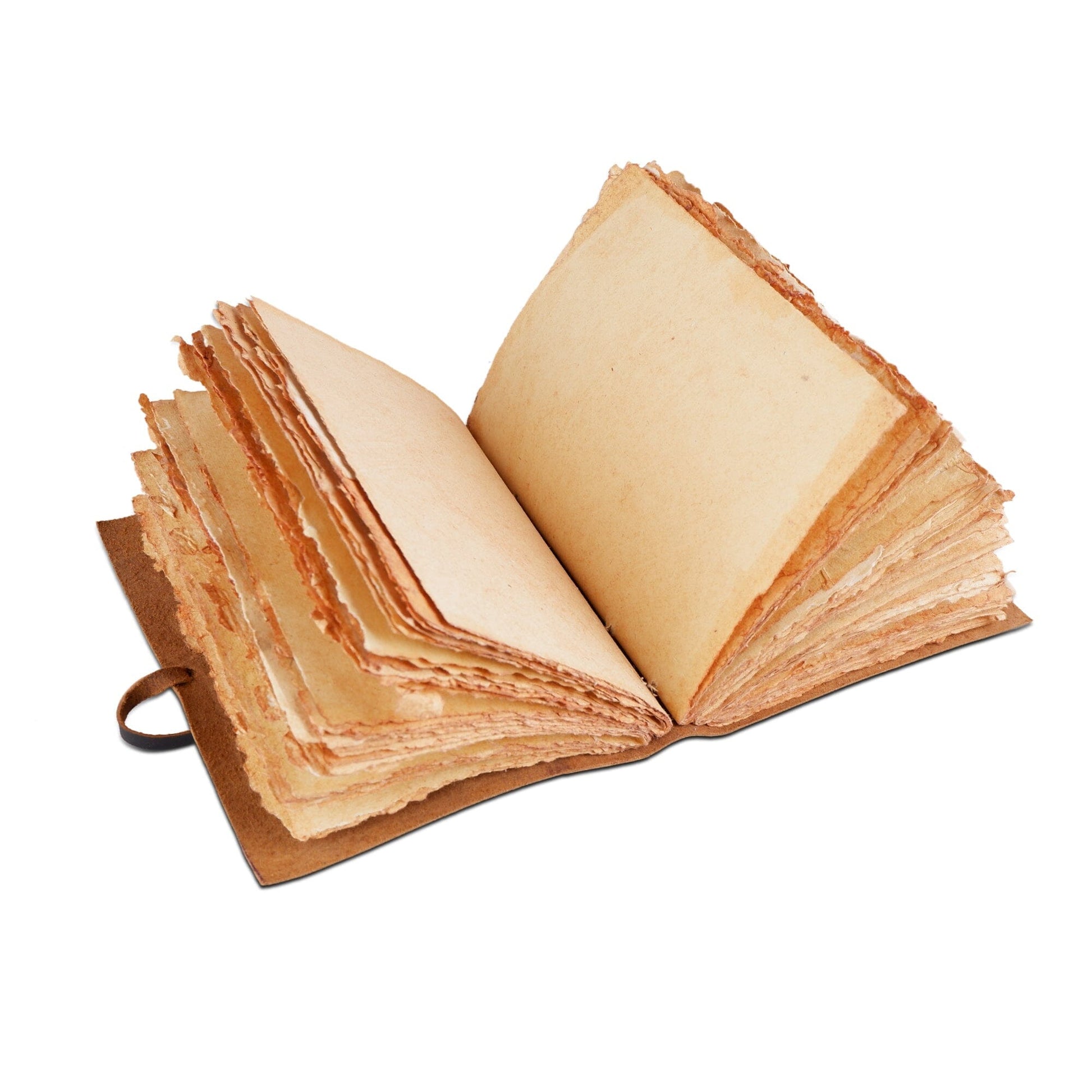 Tree of Life Journal - Tampa Home & Garden Store