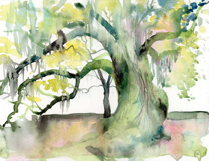 Tree of Life - Tampa Home & Garden Store