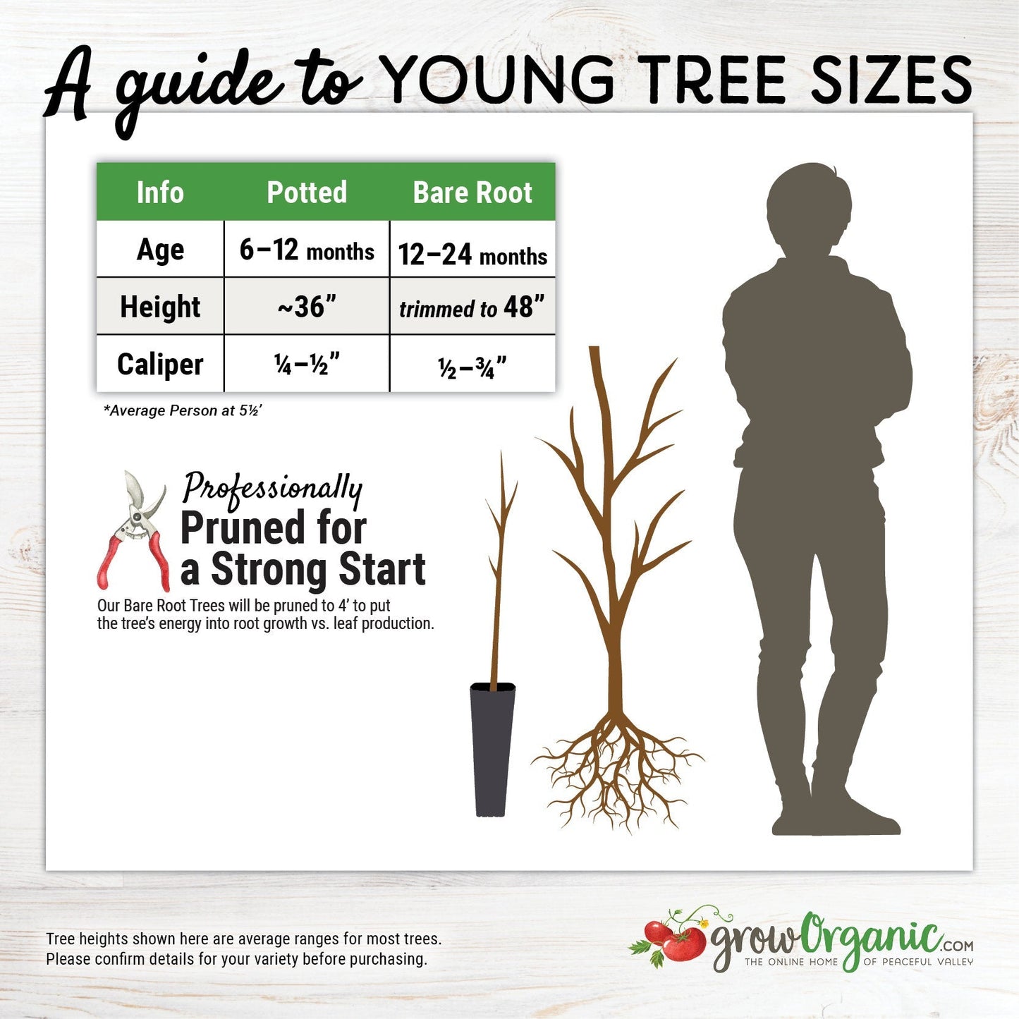 Deluxe Tree Planting Kit