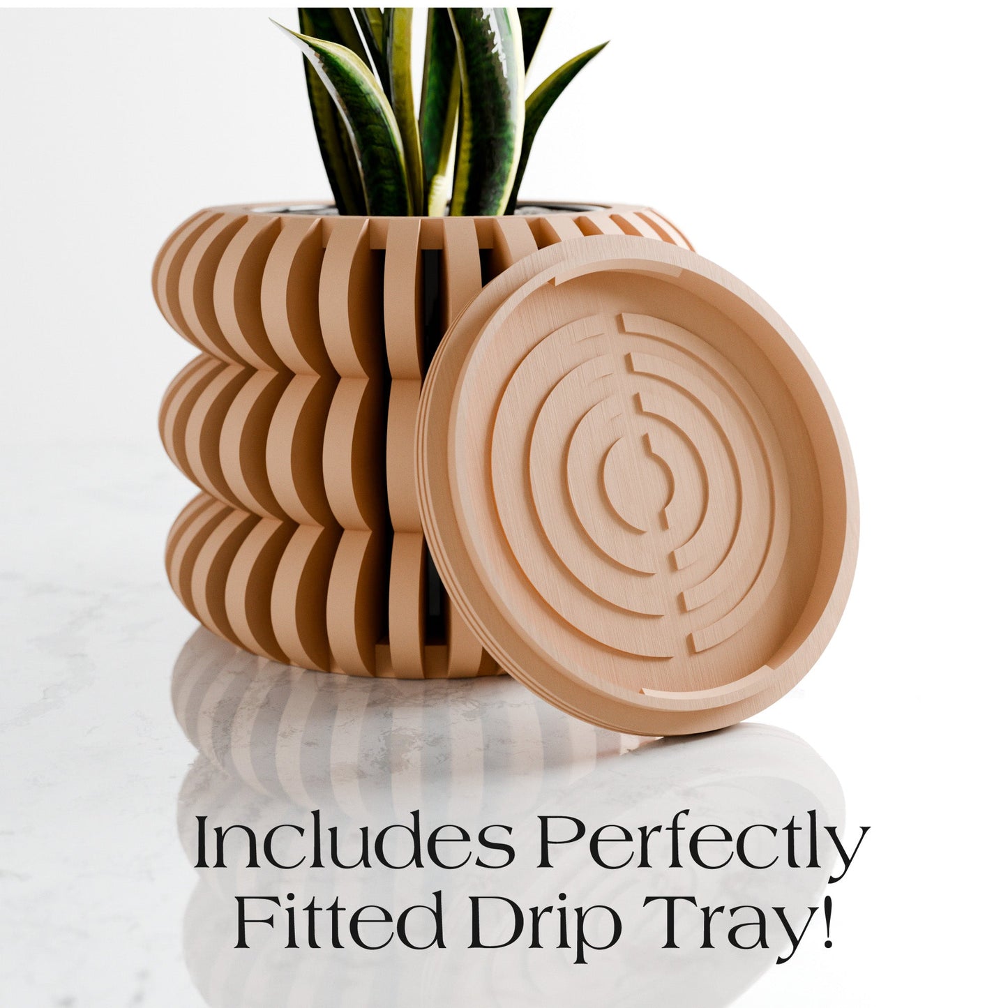 Triple Bubble Orchid Planter - Tampa Home & Garden Store