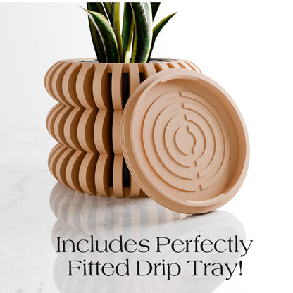 Triple Bubble Orchid Planter - Tampa Home & Garden Store