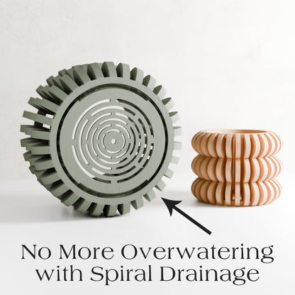 Triple Bubble Orchid Planter - Tampa Home & Garden Store