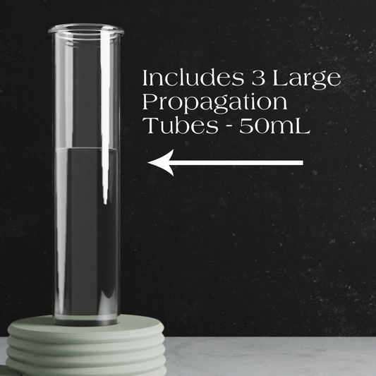 Triple Bubble Propagation Station - Tampa Home & Garden Store