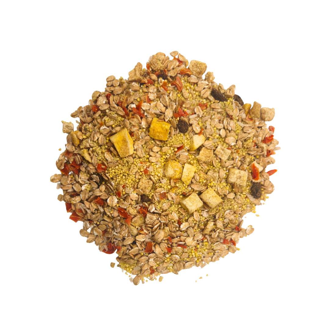Tropical - Feast on the Fly - Tampa Home & Garden Store