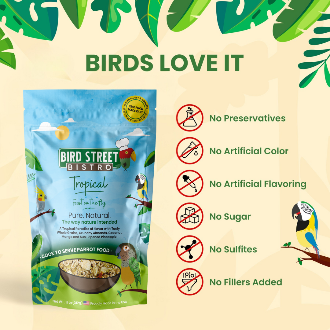Tropical - Feast on the Fly - Tampa Home & Garden Store