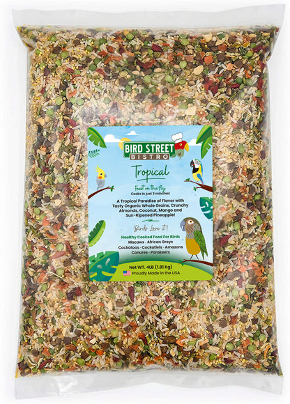 Tropical - Feast on the Fly - Tampa Home & Garden Store