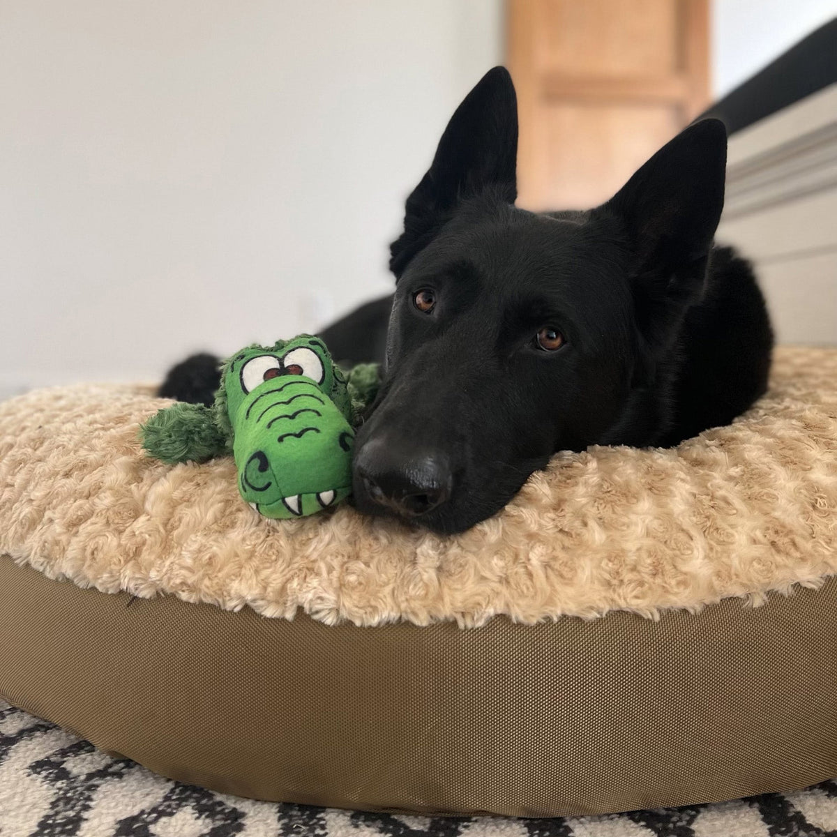 Dog Bed Round Furvana by American Dog beige plush round bed with black dog and green toy on Tampa Home & Garden Store