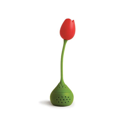 Tulip - Tampa Home & Garden Store
