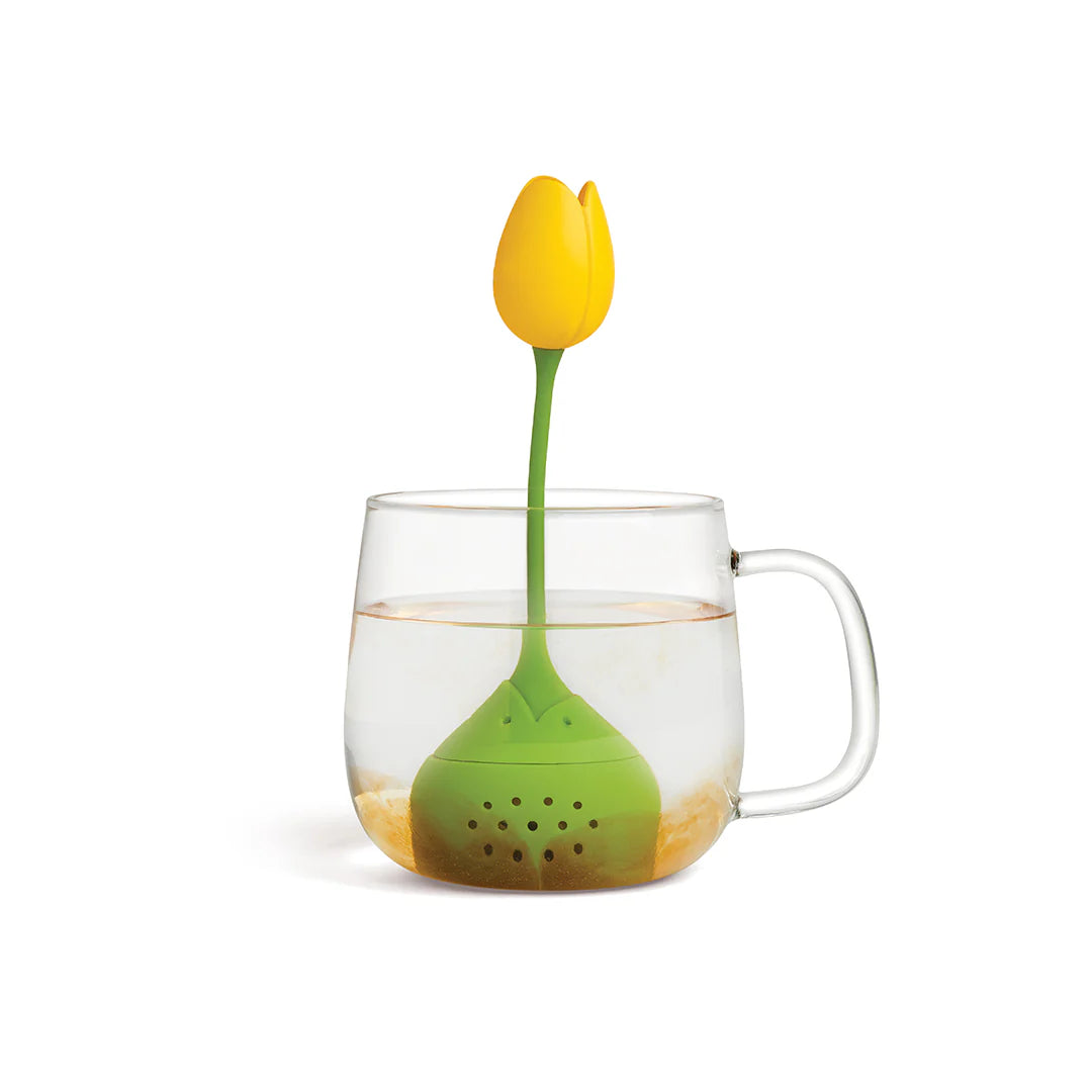 Tulip - Tampa Home & Garden Store