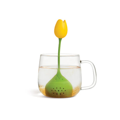 Tulip - Tampa Home & Garden Store