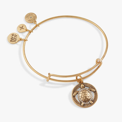 Turtle Charm Bangle by ALEX AND ANI in gold-tone with three heart charms and a crystal turtle pendant on Tampa Home & Garden Store