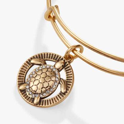 Turtle Charm Bangle gold-tone bracelet with crystal-embellished circular pendant on Tampa Home & Garden Store