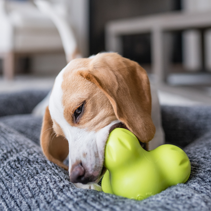 Tux Tough Treat Toy With Hollow Cavity Floats