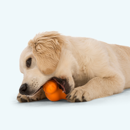 Tux Tough Treat Toy With Hollow Cavity Floats