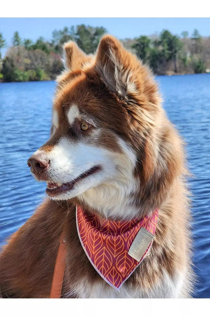 Twilight Trails Bandana & Matching Keychain - Tampa Home & Garden Store