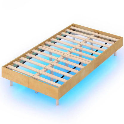 Floating Bed Frame with LED Lights for Bedroom