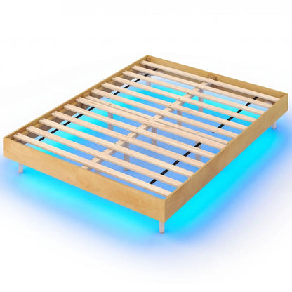 Floating Bed Frame with LED Lights for Bedroom