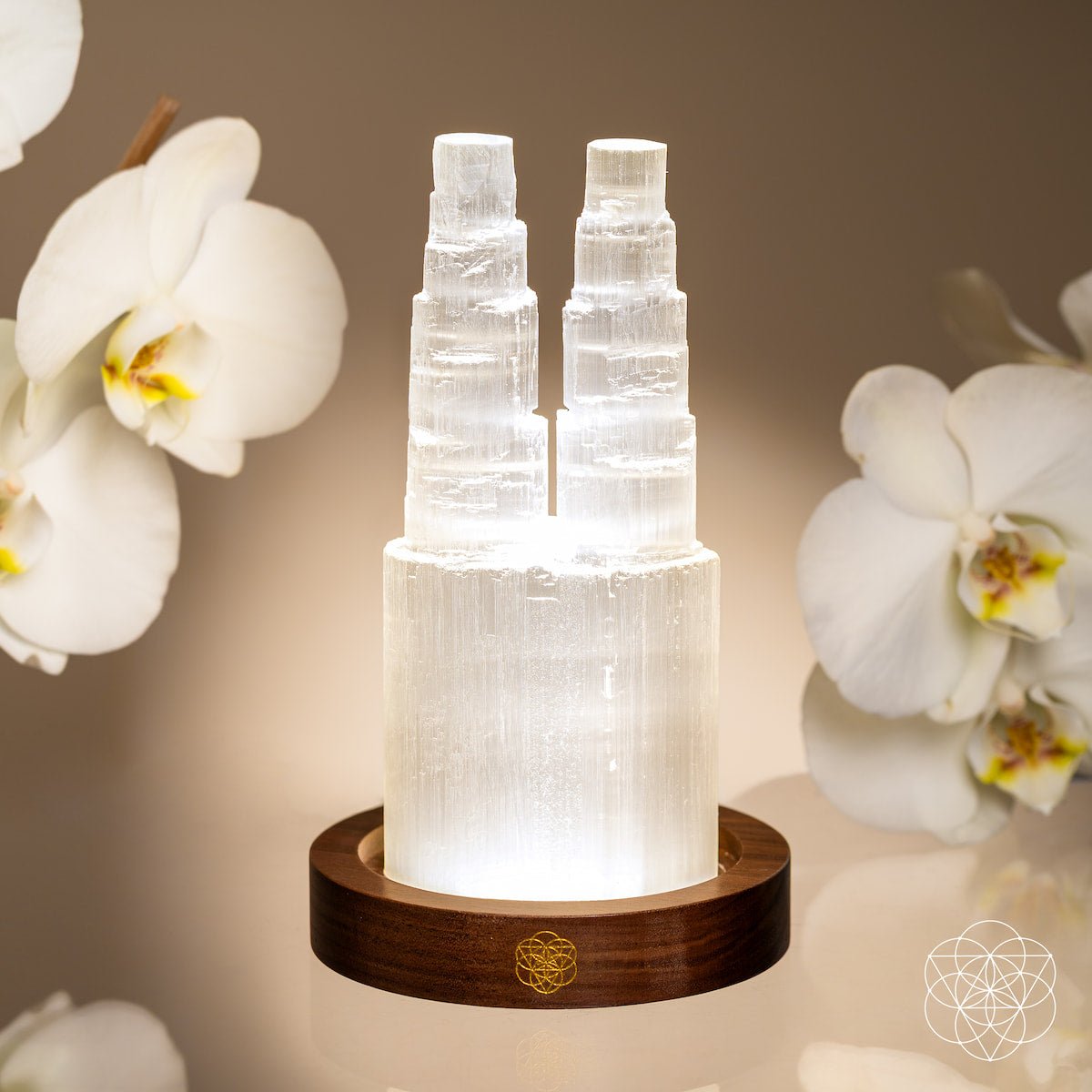Two-Tower Selenite Lamp – Deep Energy Cleanse & Reset - Tampa Home & Garden Store
