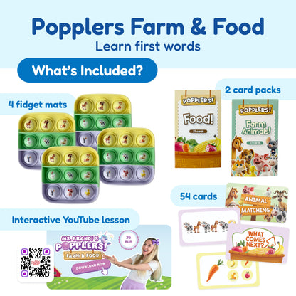 Pre-K Classroom Bundle educational toys by The Fidget Games with 4 fidget mats and 2 card packs on Tampa Home & Garden Store
