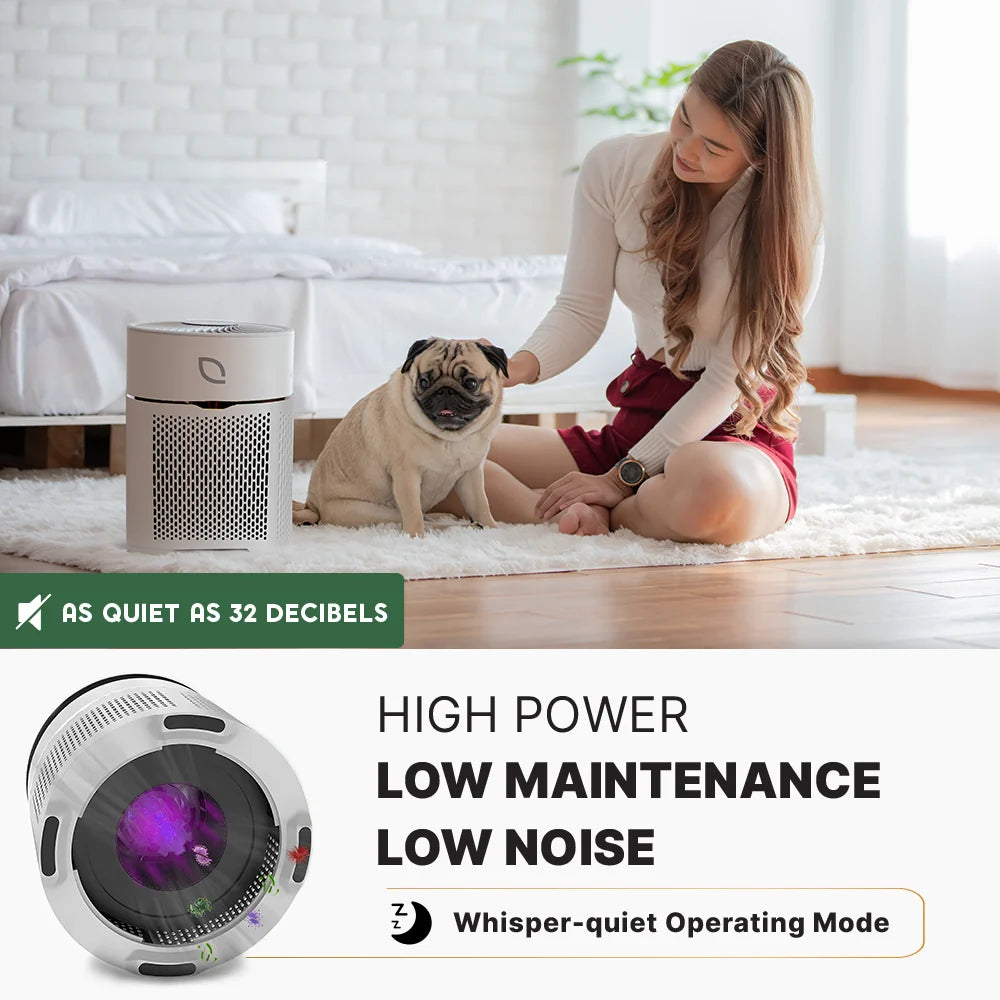 Air Sentry 300 gray air purifier by Emerge Survival in a living room with a pug nearby on Tampa Home & Garden Store
