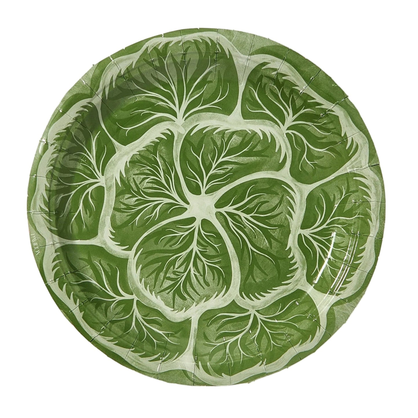 Assiettes à salade et à dessert Bunny Green Melissa's Garden (chou du jardin) - Lot de 8