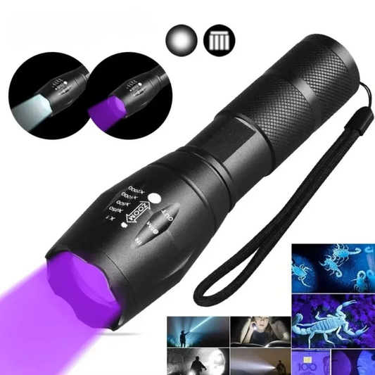 2 in 1 UV Flashlight 395nm Type C Rechargeable Blacklight Pet Stain Detection - Tampa Home & Garden Store
