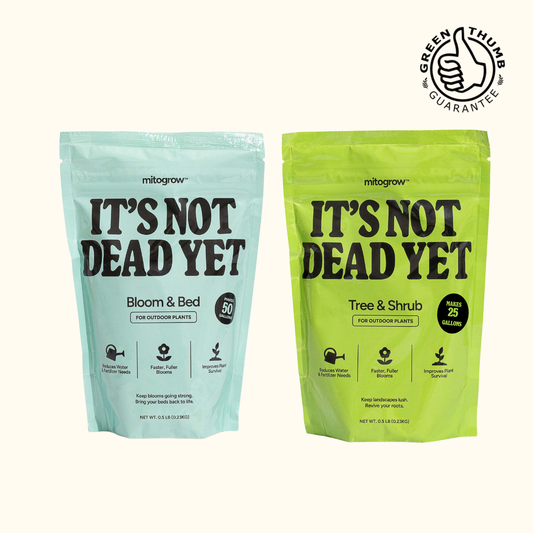 Outdoor Bundle MitoGrow fertilizer duo: blue Bloom & Bed and green Tree & Shrub bags, 2-pack on Tampa Home & Garden Store