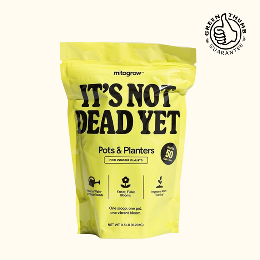MitoGrow indoor fertilizer bag It's Not Dead Yet for pots & planters on Tampa Home & Garden Store